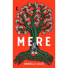 Mere: The Darkly Atmospheric Historical Fiction Debut of 2025