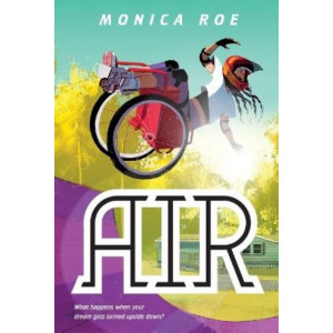 Air: A Novel
