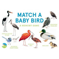 Match a Baby Bird: A Memory Game