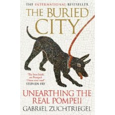 The Buried City: Unearthing the Real Pompeii