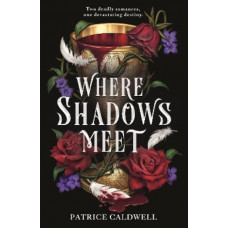 Where Shadows Meet