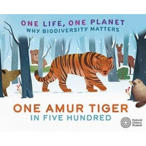 One Life, One Planet: One Amur Tiger in Five Hundred: Why Biodiversity Matters