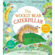 Woolly Bear Caterpillar