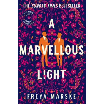 A Marvellous Light: a dazzling, queer romantic fantasy