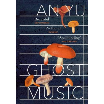 Ghost Music: From the author of the stylish cult hit Braised Pork