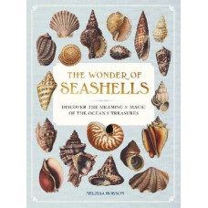 The Wonder of Seashells: Discover the Meaning and Magic of the Ocean's Treasures