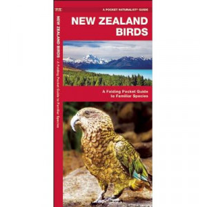 New Zealand Birds: A Folding Pocket Guide to Familiar Species