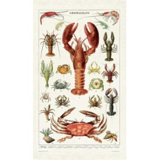 Cavallini & Co - Crustaceans Vintage Tea Towel