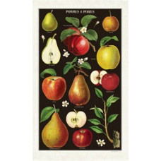 Cavallini & Co - Apple & Pears Tea Towel