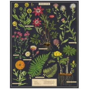 Herbarium 1000 Piece Vintage Jigsaw Puzzle by Cavallini