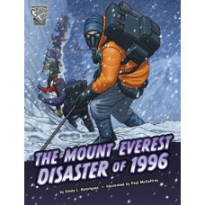 Mount Everest Disaster 1996 Graphic Deadly Expeditions