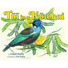 Tui in a Kowhai