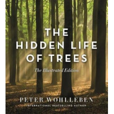 Hidden Life of Trees (Illustrated Edition)