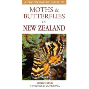 Photographic Guide to Moths & Butterflies of New Zealand