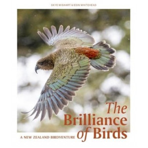 The Brilliance of Birds: A New Zealand Birdventure