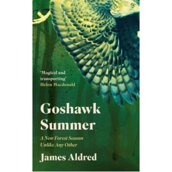 Goshawk Summer:  New Forest Season Unlike Any Other