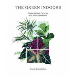 Green Indoors: Finding the Right Plants for Your Home Environment