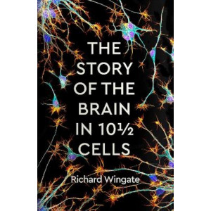 The Story of the Brain in 101/2 Cells