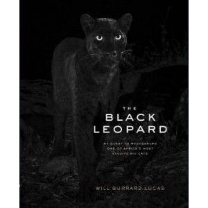 Black Leopard: My Quest to Photograph One of Africa's Most Elusive Big Cats, The
