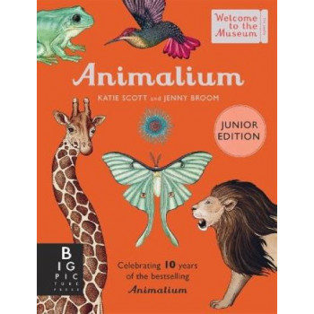 Animalium (Junior Edition)