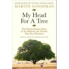 My Head For A Tree