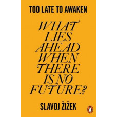 Too Late to Awaken: What Lies Ahead When There is No Future?