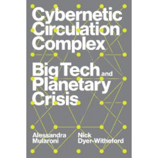 Cybernetic Circulation Complex: Big Tech and Planetary Crisis