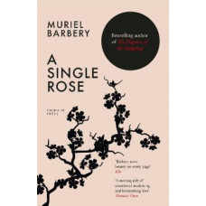 A Single Rose