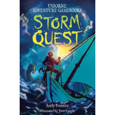 Storm Quest