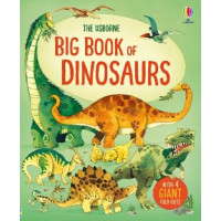 BIG BOOK OF DINOSAURS