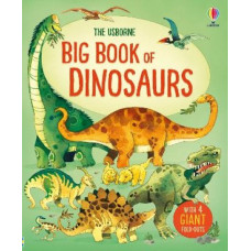 BIG BOOK OF DINOSAURS