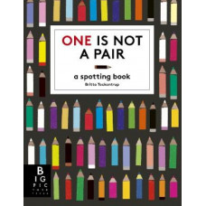 One is Not a Pair: A Spotting Book