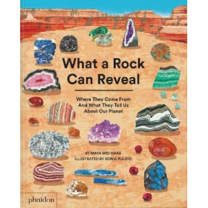 What a Rock Can Reveal: Where They Come From And What They Tell Us About Our Planet