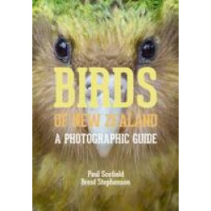 Birds of New Zealand : Photographic Guide