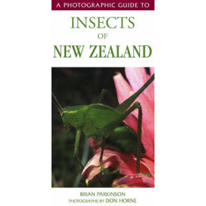 Photographic Guide to Insects of New Zealand