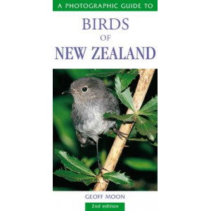 Photographic Guide to Birds of New Zealand