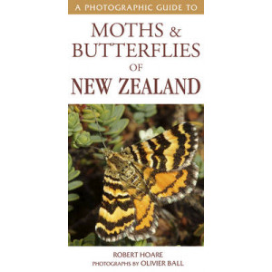 Photographic Guide to Moths & Butterflies of New Zealand