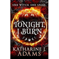 Tonight, I Burn *NZCYA 2024 Finalist*