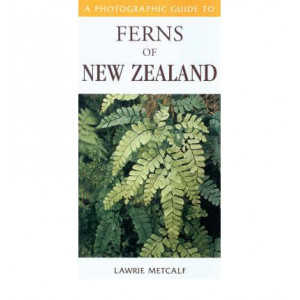 Photographic Guide to Ferns of New Zealand