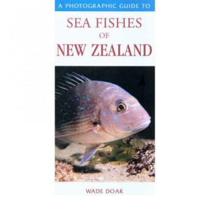 Photoguide To New Zealand Sea Fishes