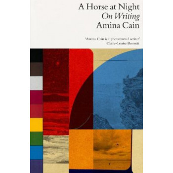 A Horse at Night: On Writing