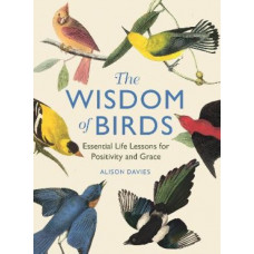 The Wisdom of Birds: Essential Life Lessons for Positivity and Grace