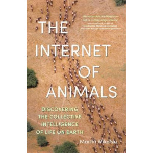 The Internet of Animals: discovering the collective intelligence of life on Earth