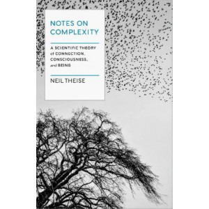 Notes on Complexity: Life, Consciousness, and Meaning in a Self-Organizing Universe
