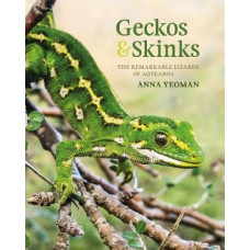 Geckos & Skinks: The remarkable lizards of Aotearoa *Staff Pick 2024*