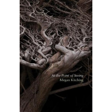 At the Point of Seeing  *Winner Ockham 2024 Best First Book Award (the Jessie Mackay Prize for Poetry)*