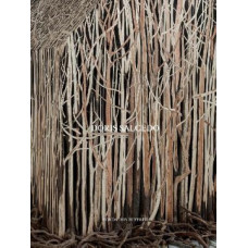 Doris Salcedo