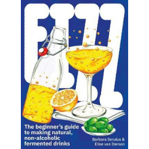 FIZZ:The Beginners Guide to Making Natural, Non-Alcoholic Ferment