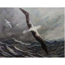 David Elliot - Toroa/Albatross - Magnet Flying Whale